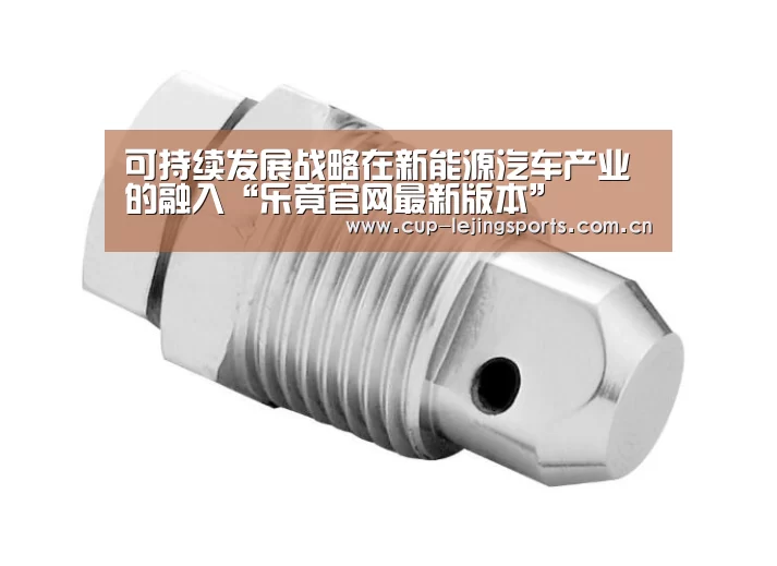 可持续发展战略在新能源汽车产业的融入“乐竟官网最新版本”(图3) 乐竟官方网站下载