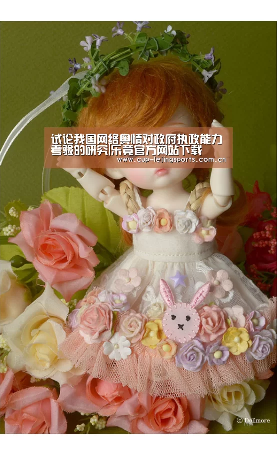 试论我国网络舆情对政府执政能力考验的研究|乐竟官方网站下载