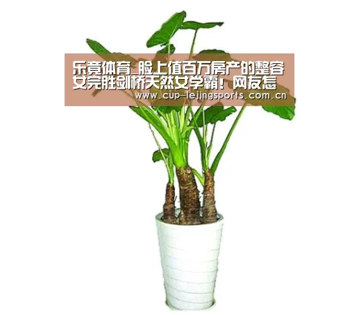 乐竟体育官方
