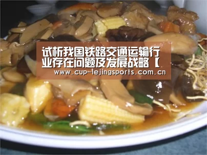 试析我国铁路交通运输行业存在问题及发展战略【乐竟体育官方】