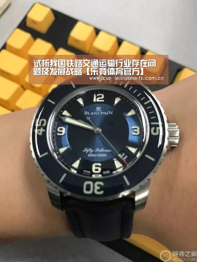 试析我国铁路交通运输行业存在问题及发展战略【乐竟体育官方】(图2) 乐竟体育官方