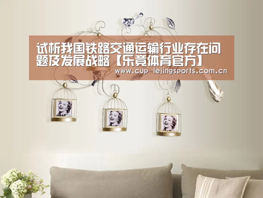 试析我国铁路交通运输行业存在问题及发展战略【乐竟体育官方】(图3) 乐竟体育官方