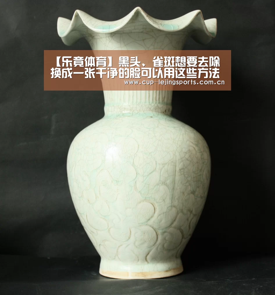 乐竟体育