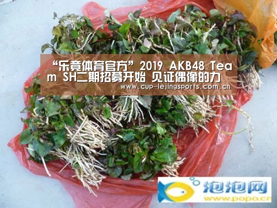 乐竟体育官方