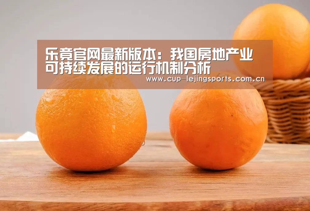 乐竟官网最新版本：我国房地产业可持续发展的运行机制分析