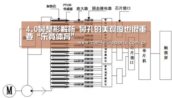 4.0鼻整形解析　鼻孔的美观度也很重要“乐竟体育”