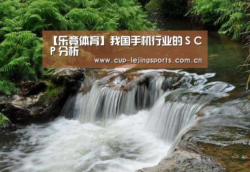 【乐竟体育】我国手机行业的ＳＣＰ分析