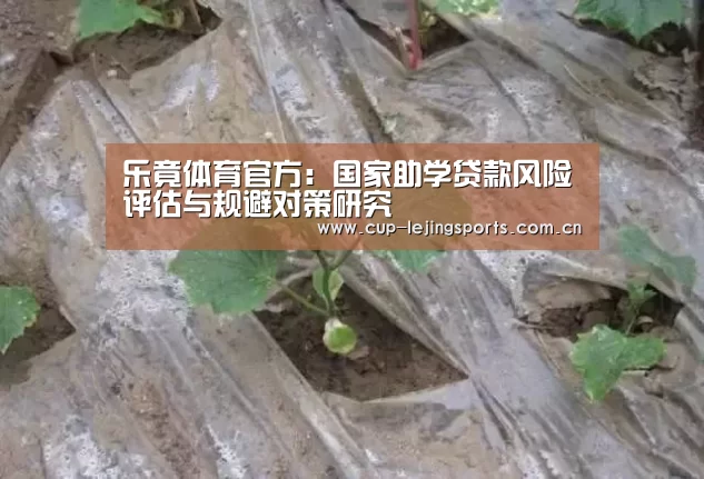 乐竟体育官方：国家助学贷款风险评估与规避对策研究