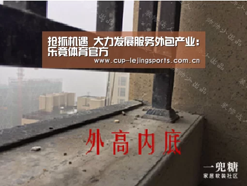 抢抓机遇　大力发展服务外包产业：乐竟体育官方