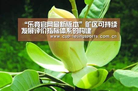 乐竟官网最新版本