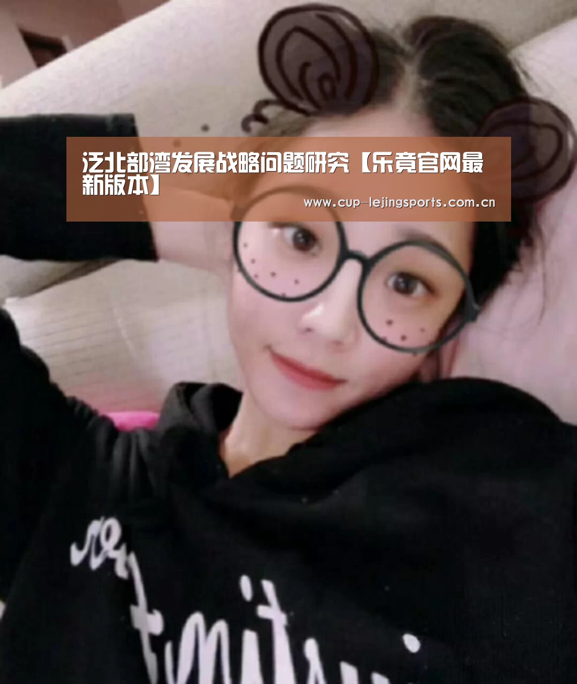 泛北部湾发展战略问题研究【乐竟官网最新版本】